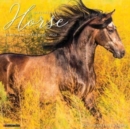 Image for Happiness Is a Horse 2024 12 X 12 Wall Calendar