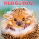 Image for Hedgehogs 2024 12 X 12 Wall Calendar