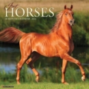 Image for Just Horses 2024 12 X 12 Wall Calendar