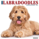 Image for Just Labradoodles 2024 12 X 12 Wall Calendar