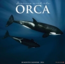 Image for Orca (Journey with The) 2024 12 X 12 Wall Calendar
