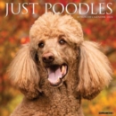 Image for Just Poodles 2024 12 X 12 Wall Calendar
