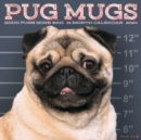 Image for Pug Mugs 2024 12 X 12 Wall Calendar