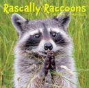 Image for Rascally Raccoons 2024 12 X 12 Wall Calendar