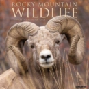 Image for Rocky Mountain Wildlife 2024 12 X 12 Wall Calendar