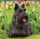 Image for Just Scotties 2024 12 X 12 Wall Calendar