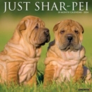 Image for Just Shar-Peis 2024 12 X 12 Wall Calendar