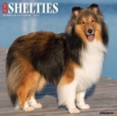 Image for Just Shelties 2024 12 X 12 Wall Calendar