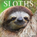 Image for Sloths 2024 12 X 12 Wall Calendar