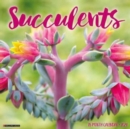 Image for Succulents 2024 12 X 12 Wall Calendar