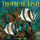 Image for Tropical Fish 2024 12 X 12 Wall Calendar