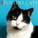 Image for Just Tuxedo Cats 2024 12 X 12 Wall Calendar
