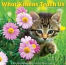 Image for What Kittens Teach Us 2024 12 X 12 Wall Calendar