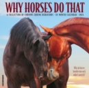 Image for Why Horses Do That 2024 12 X 12 Wall Calendar