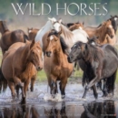 Image for Wild Horses 2024 12 X 12 Wall Calendar