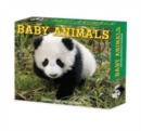 Image for Baby Animals 2024 6.2 X 5.4 Box Calendar