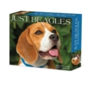 Image for Beagles 2024 6.2 X 5.4 Box Calendar