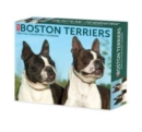 Image for Boston Terriers 2024 6.2 X 5.4 Box Calendar