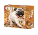 Image for Pugs 2024 6.2 X 5.4 Box Calendar