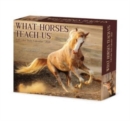 Image for What Horses Teach Us 2024 6.2 X 5.4 Box Calendar