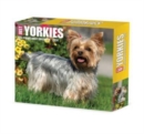 Image for Yorkies 2024 6.2 X 5.4 Box Calendar