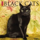Image for Just Black Cats 2024 7 X 7 Mini Wall Calendar