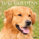 Image for Just Goldens 2024 7 X 7 Mini Wall Calendar