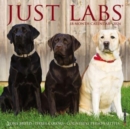 Image for Just Labs 2024 7 X 7 Mini Wall Calendar
