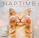 Image for Naptime (Cats) 2024 7 X 7 Mini Wall Calendar