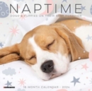Image for Naptime (Dogs) 2024 7 X 7 Mini Wall Calendar