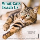 Image for What Cats Teach Us 2024 7 X 7 Mini Wall Calendar