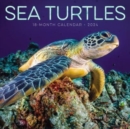 Image for Sea Turtles 2024 12 X 12 Wall Calendar