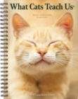Image for What Cats Teach Us 2024 6.5 X 8.5 Engagement Calendar