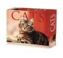 Image for Cats 2024 6.2 X 5.4 Box Calendar