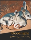 Image for Goodnight Little Bilby.