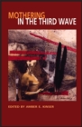 Image for Mothering in the Third Wave