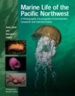 Image for Marine Life of the Pacific Northwest