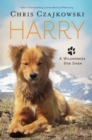 Image for Harry: A Wilderness Dog Saga