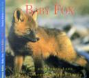 Image for Baby Fox