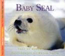 Image for Baby Seal