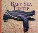 Image for Baby Sea Turtle
