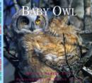 Image for Baby Owl