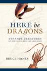 Image for Here Be Dragons