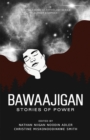 Image for Bawaajigan : Stories of Power