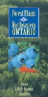 Image for Forest Plants of Northeastern Ontario