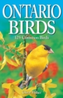 Image for Ontario Birds : 125 Common Birds