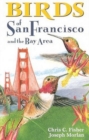 Image for Birds of San Francisco : and the Bay Area