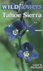 Image for Wildflowers of the Tahoe Sierra