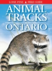 Image for Animal tracks of Ontario