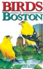 Image for Birds of Boston